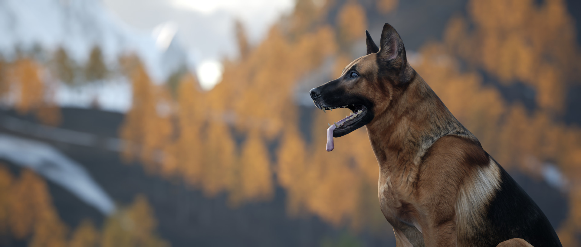 Motorcycle Travel Simulator #35