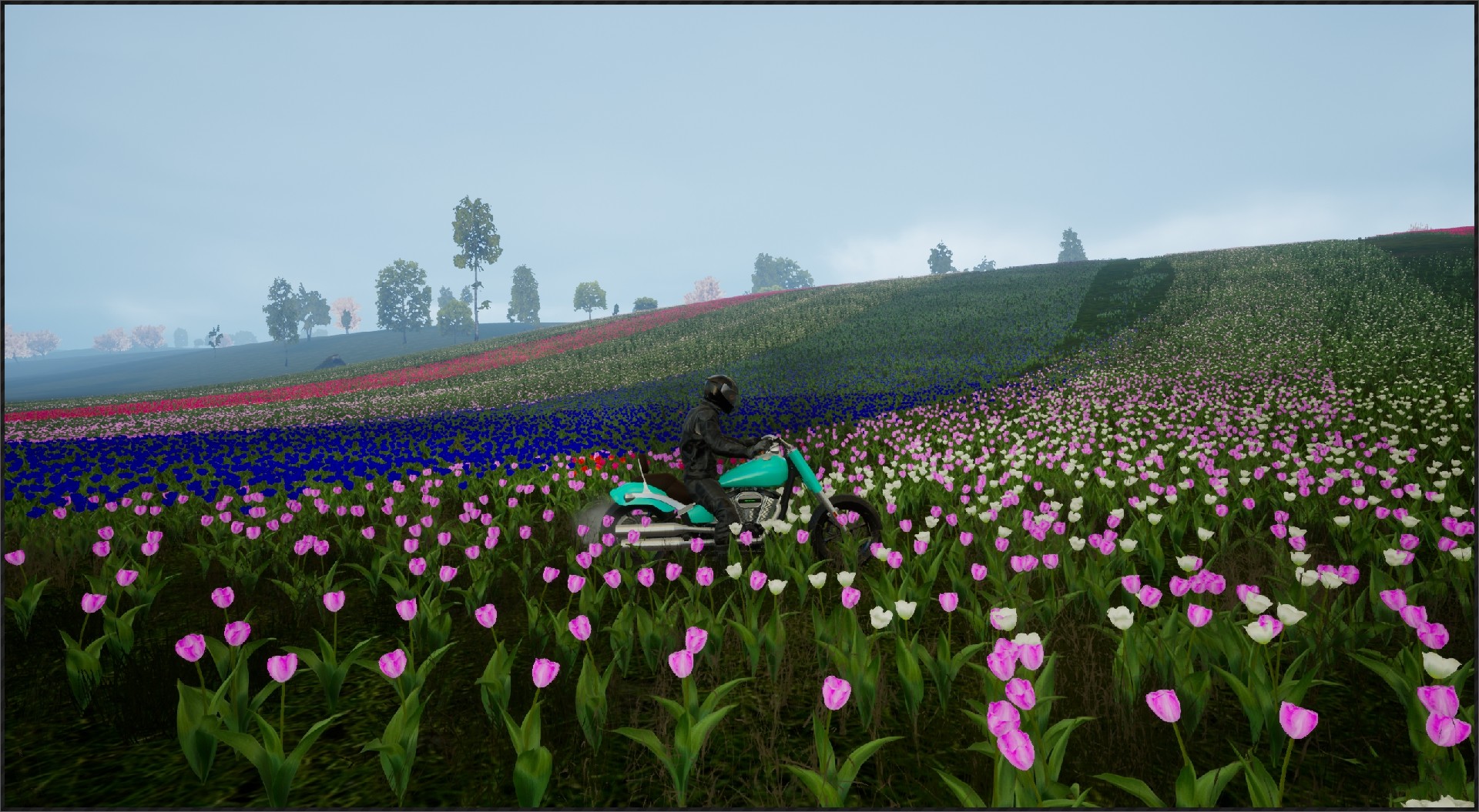 Motorcycle Travel Simulator #57