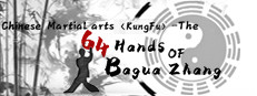 中国传统武术 八卦掌 六十四手 Chinese martial arts (kungfu) The 64 Hands of Bagua Zhang 게임 이미지