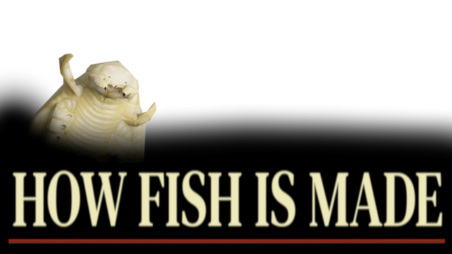 How Fish Is Made