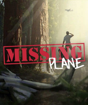 Missing Plane: Survival