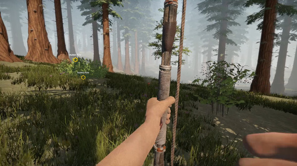 Скриншот из Missing Plane: Survival