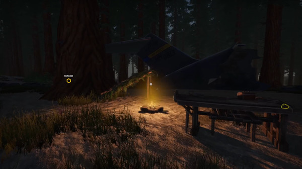 Скриншот из Missing Plane: Survival