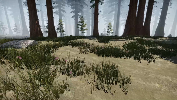 Скриншот из Missing Plane: Survival