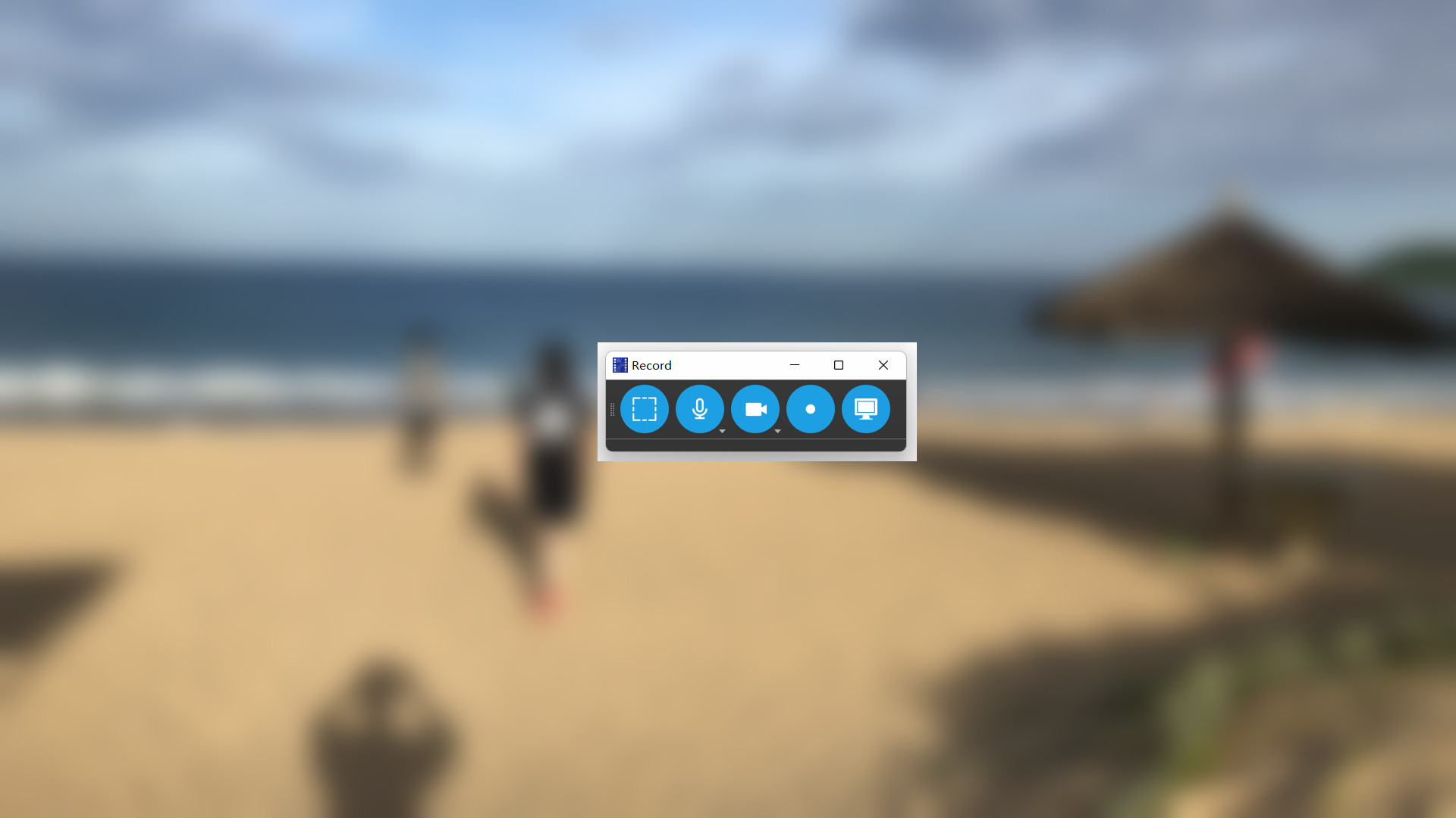 DIKDIK Video Kit 2024 #5