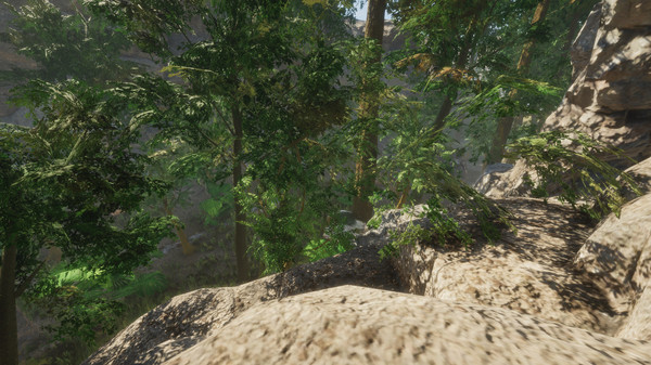Скриншот из Forest
