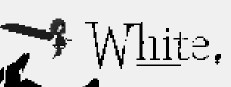White 게임 이미지