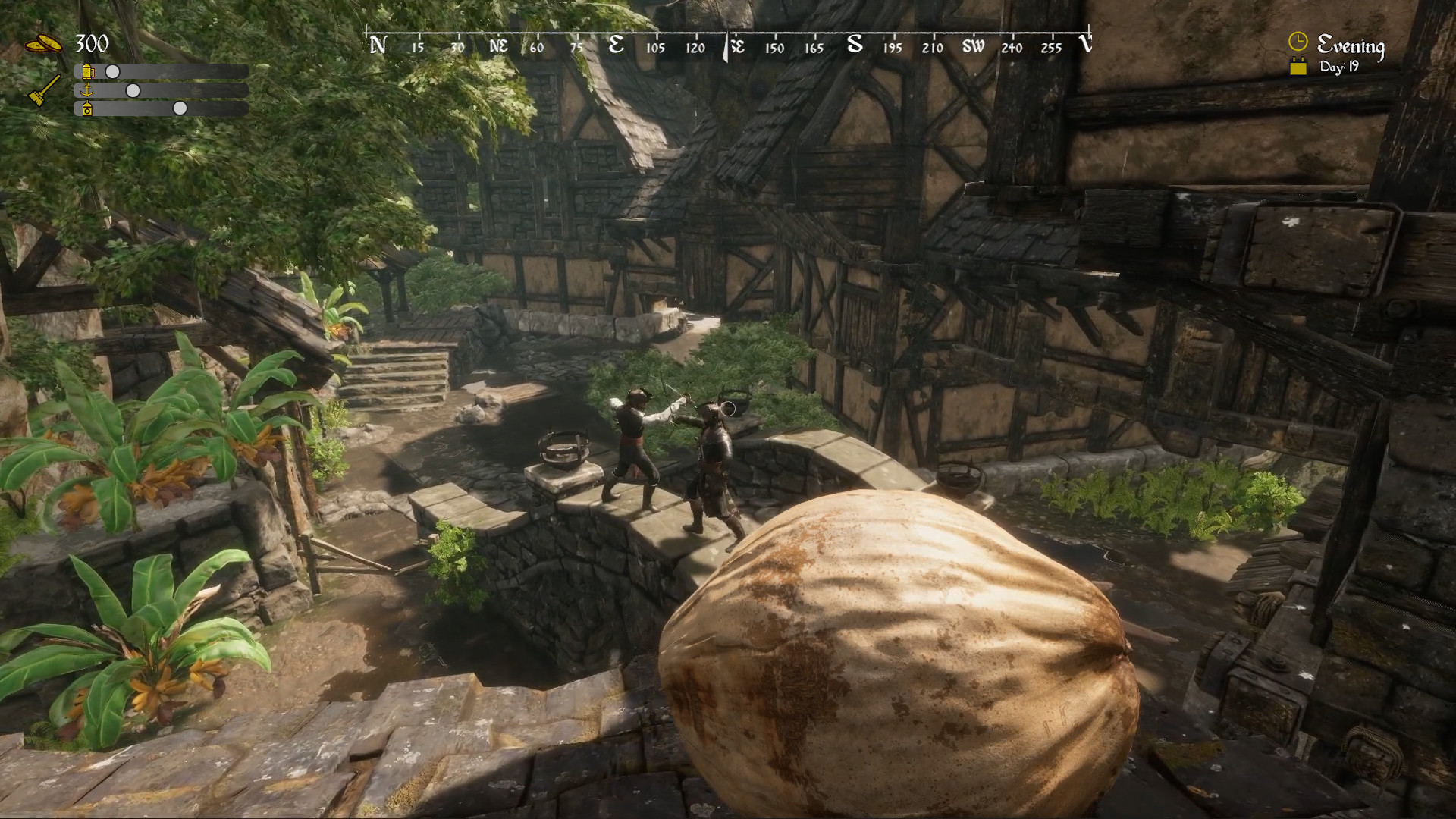 Pirate's Den Renovator #6