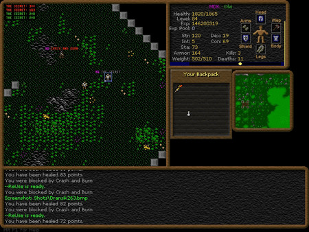 Скриншот из Dransik