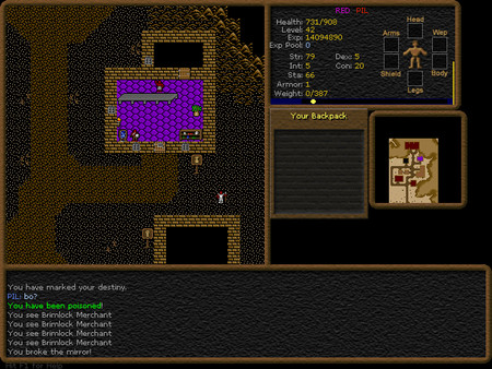 Скриншот из Dransik