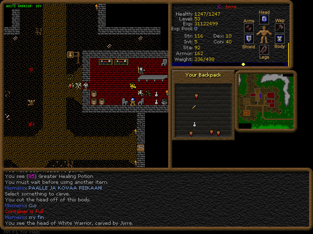 Dransik screenshot 1