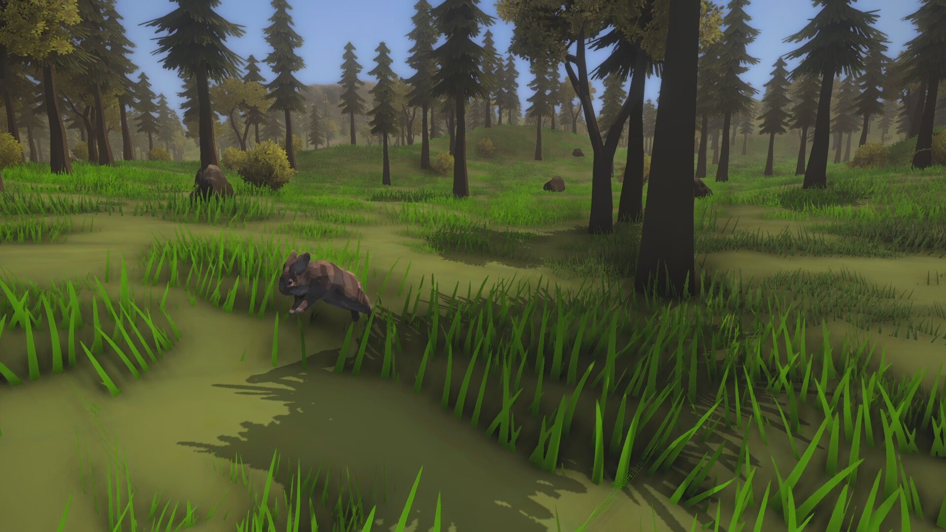 Wild Frontier