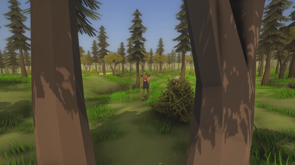 Скриншот из Wild Frontier