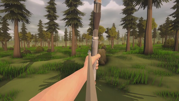 Скриншот из Wild Frontier