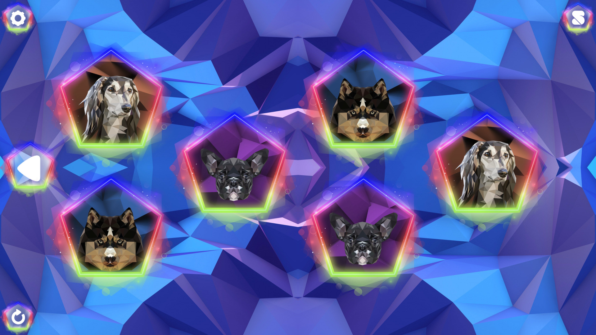 Poly Memory: Dogs #0