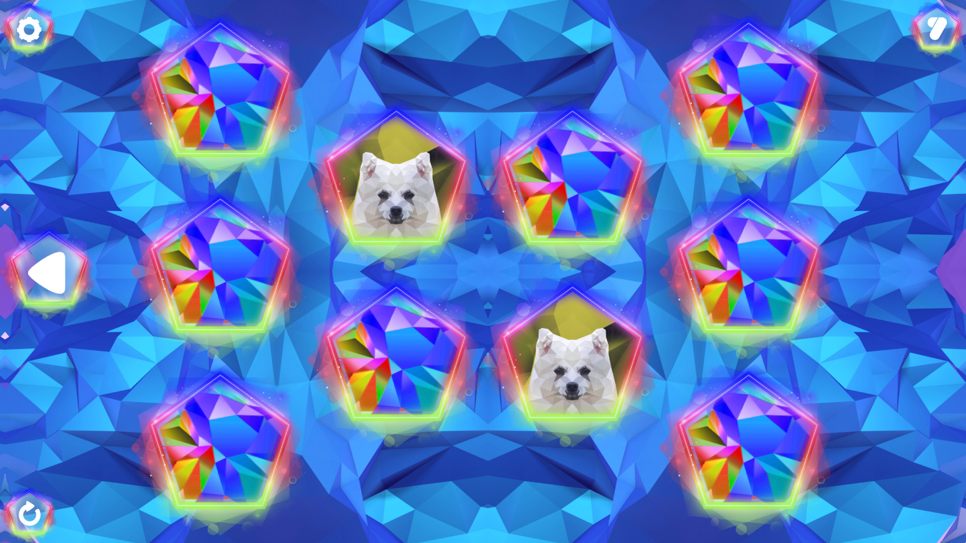 Poly Memory: Dogs #3