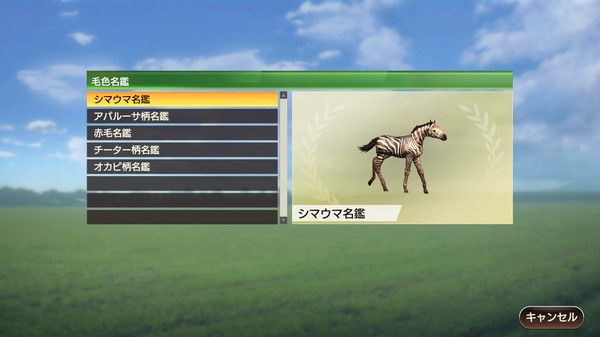 WP9 2022 毛色名鑑セット（５種）