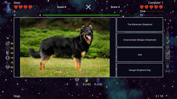 I've Seen Everything - Dogs