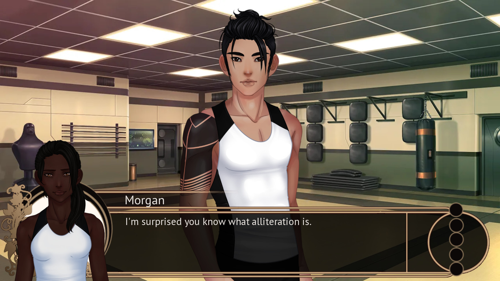 стил си. Steelseries. стеел сериес в228. Steelseries syberia elite. Steelseries apex 100.