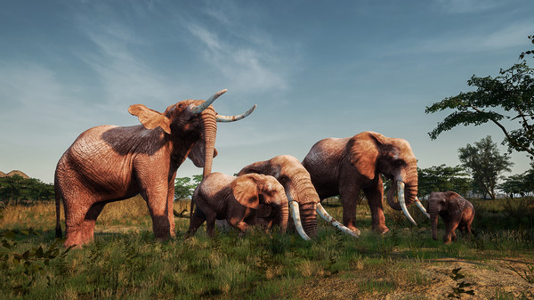 Animalia New African Skins