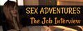 Sex Adventures - The Job Interview logo