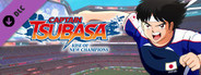 Captain Tsubasa: Rise of New Champions Hikaru Matsuyama Mission