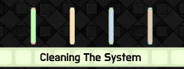 Cleaning The System