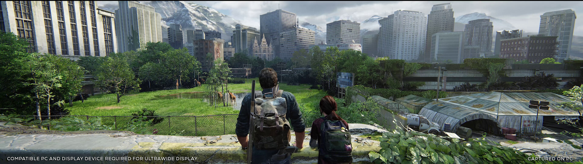 The Last of Us™ Part I, PC Steam Game