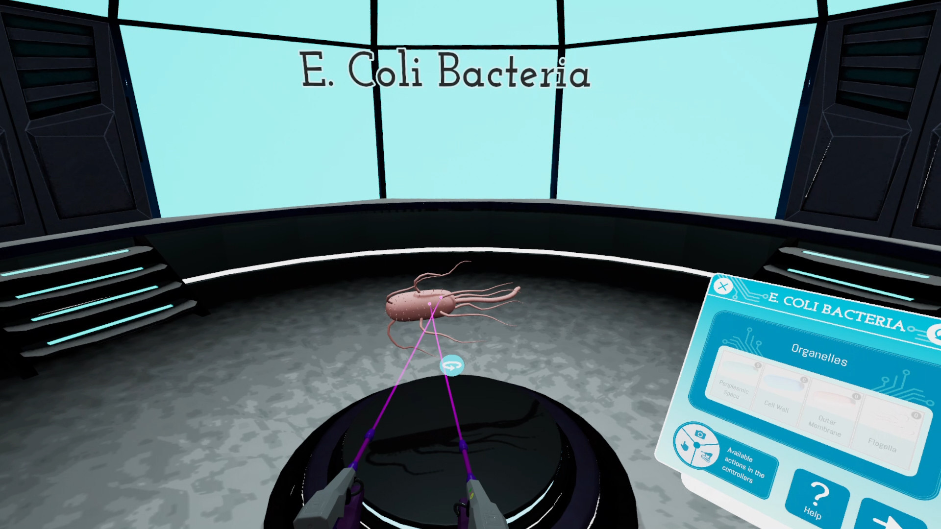 Looking Inside Cells #3