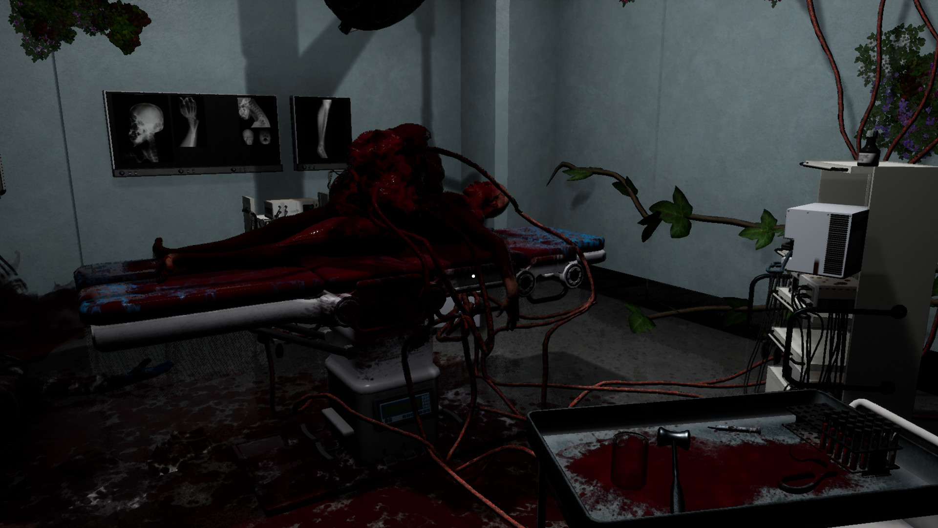 Entropic Decay Demo #3