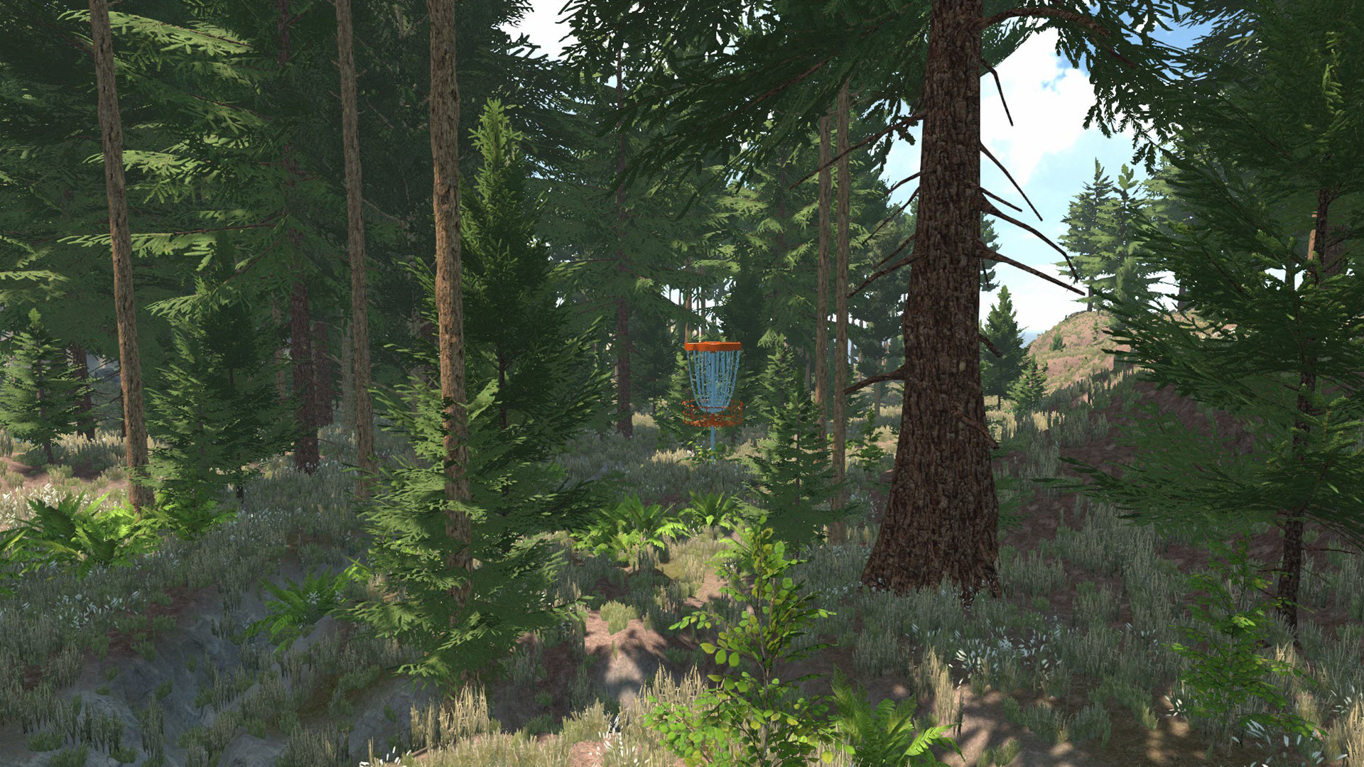 Disc Golf: Game On #13