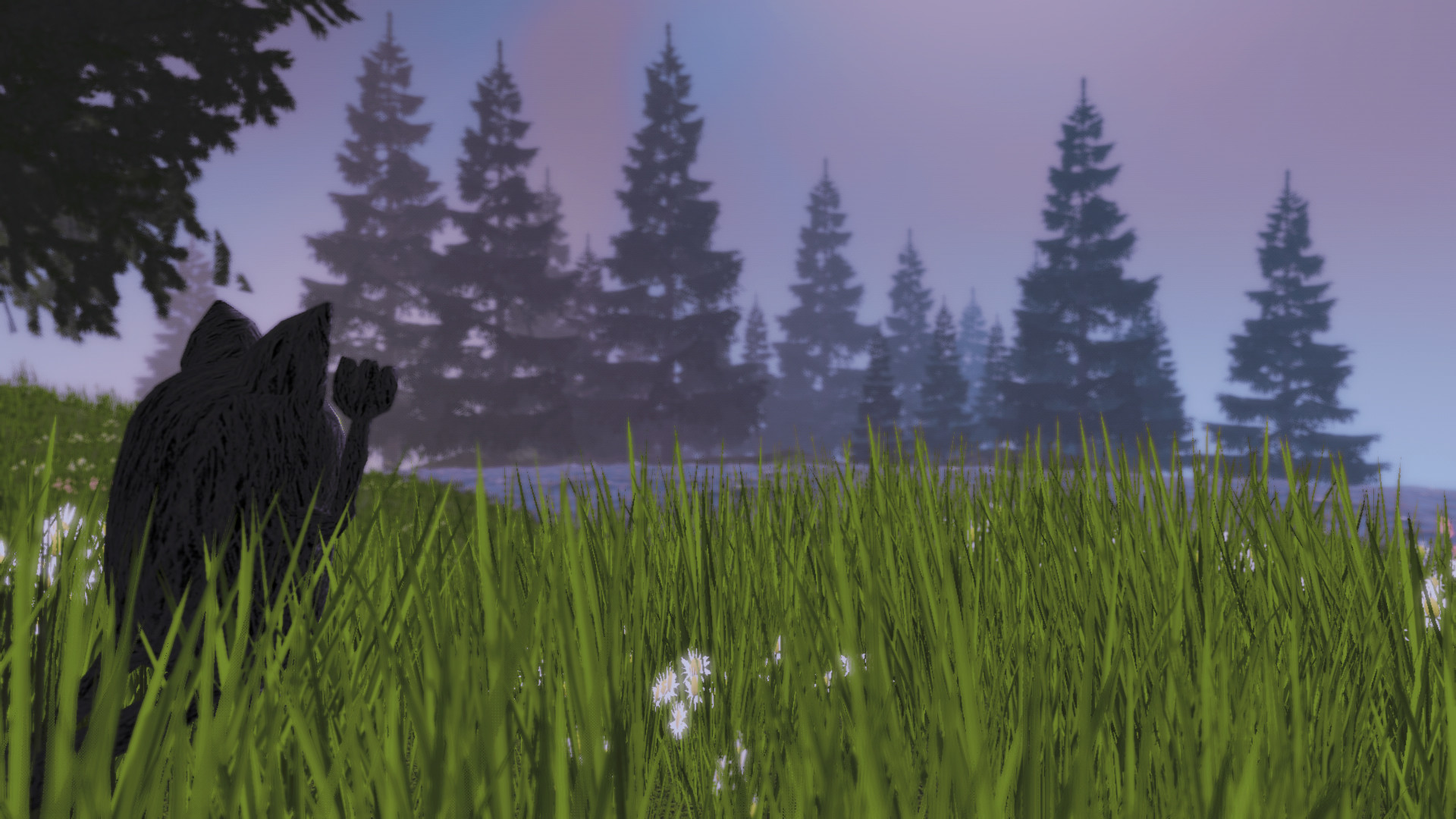 Floppy Cat Adventures #5