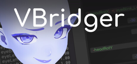 VBridger banner image