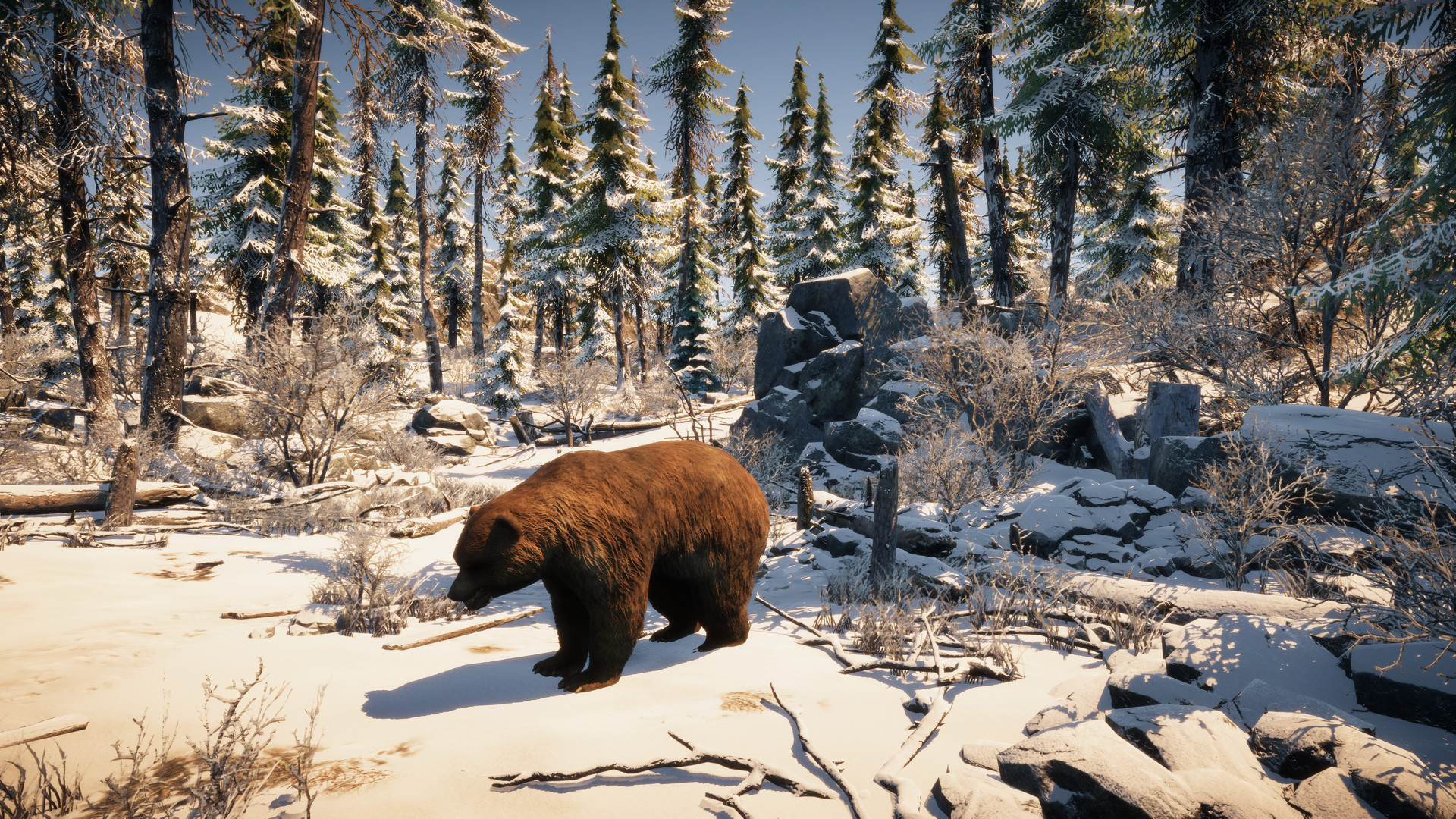 Wallpaper creator for Clip maker #5