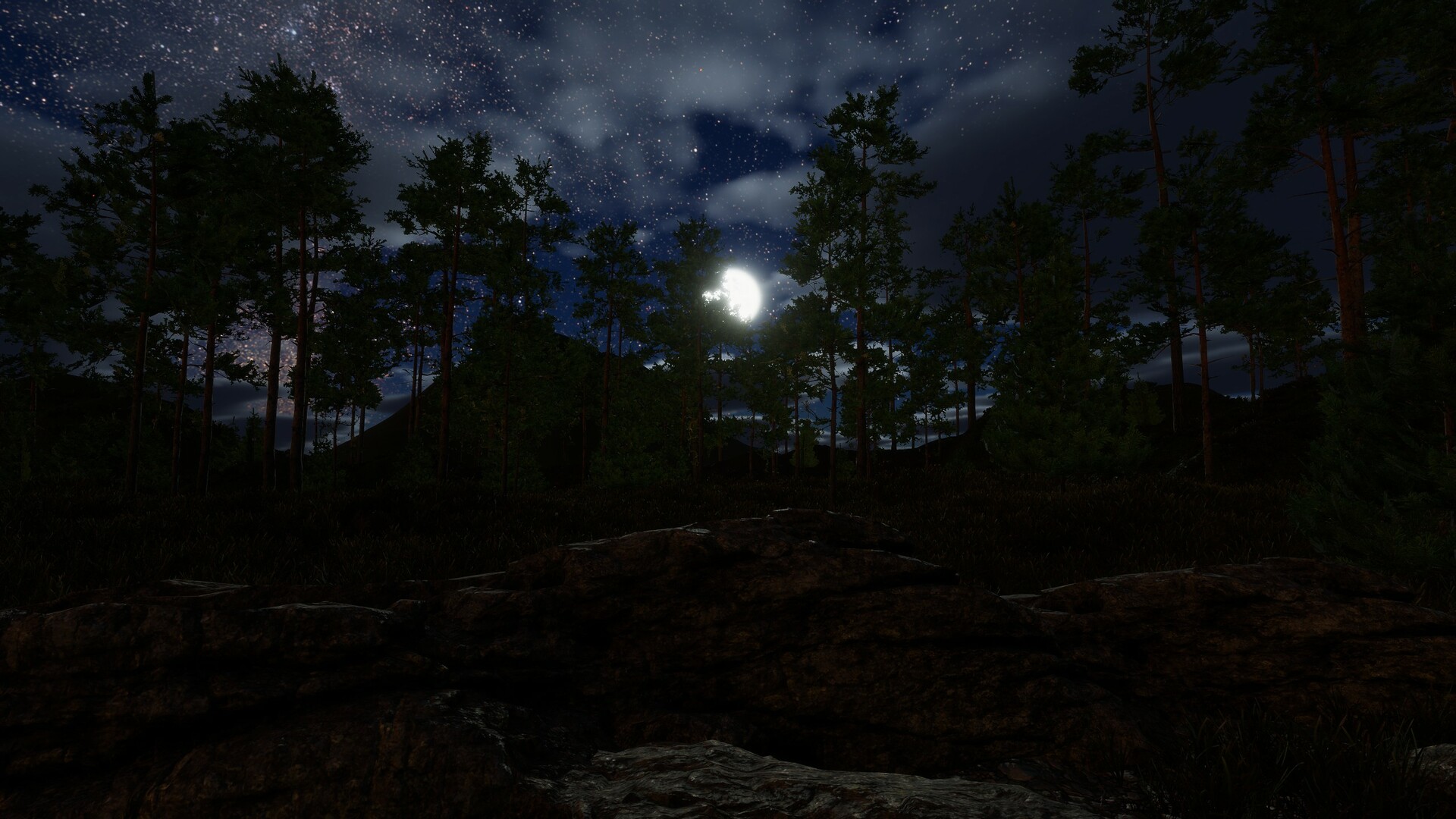 Come See My Hole 的图片