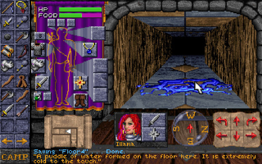 Скриншот из Dungeon Hack