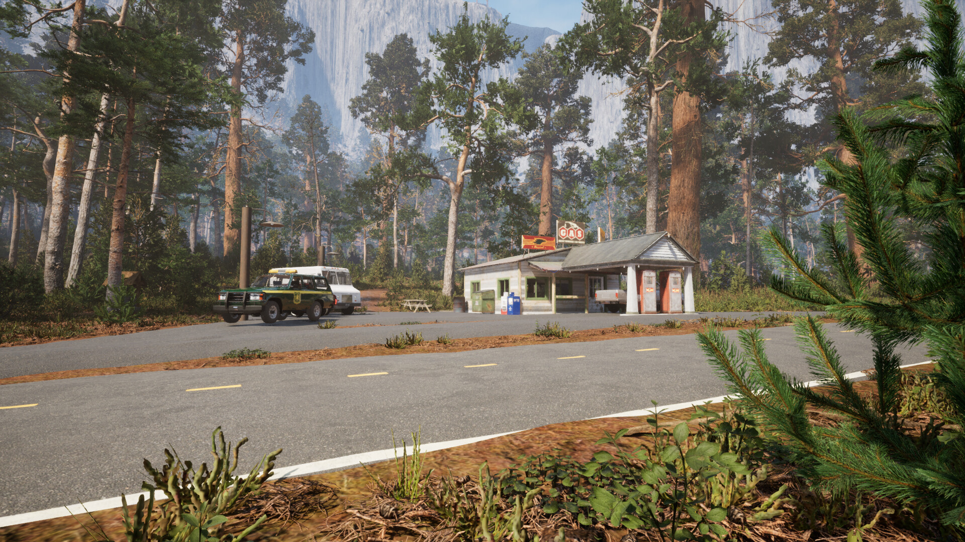 Yosemite Forest Ranger #7