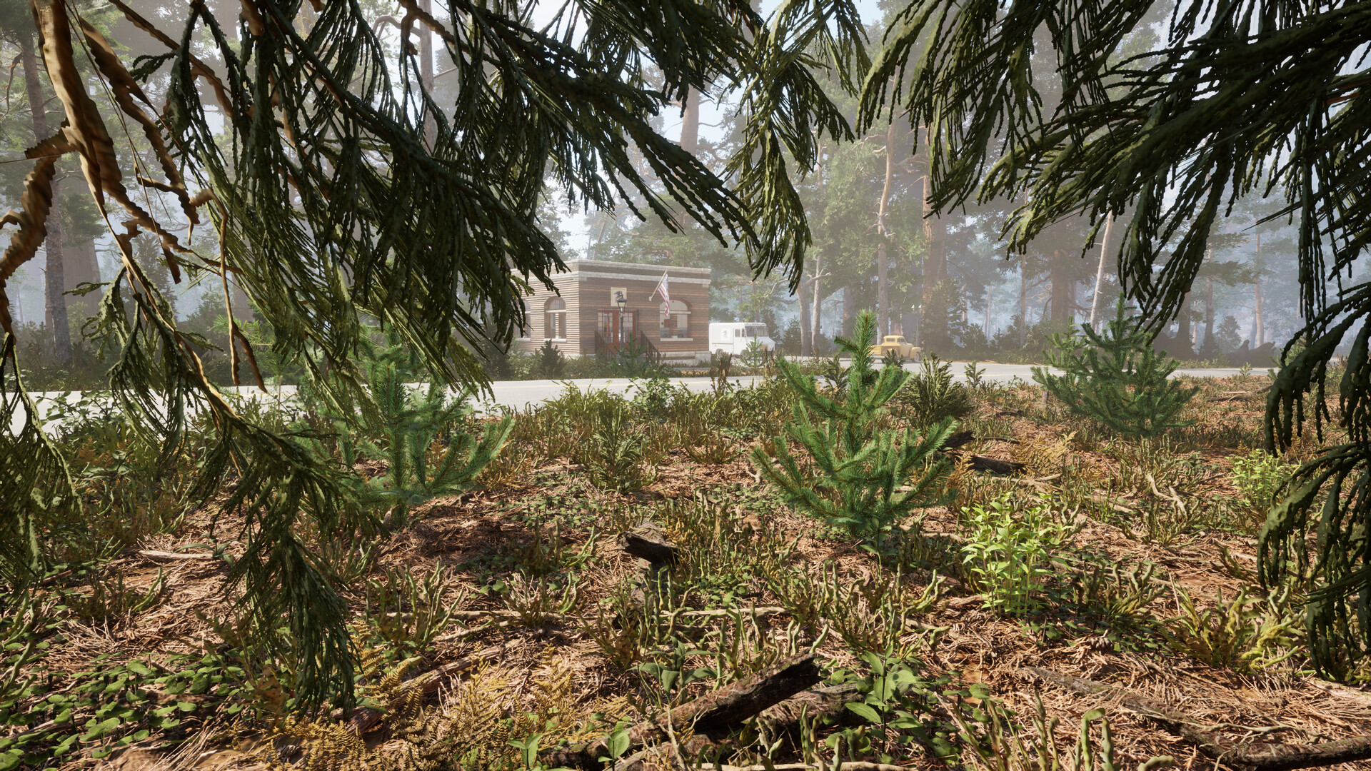 Yosemite Forest Ranger #15