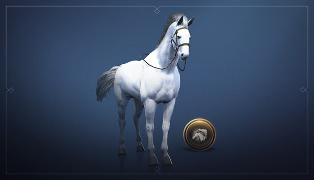 [NA/EU] Black Desert - Traveler to Explorer #6