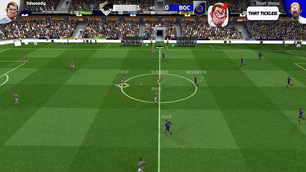 Sociable Soccer 24for windows and Linux 1