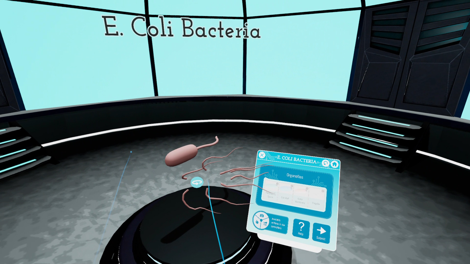 Looking Inside Cells Demo #8