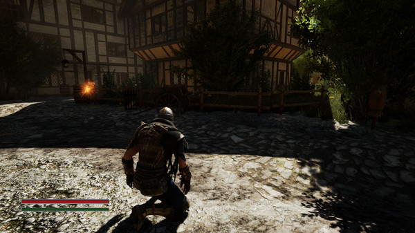 Скриншот из Swords Fantasy: Battlefield