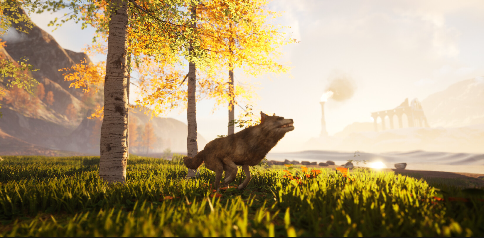 Bonk Battle Royale #2