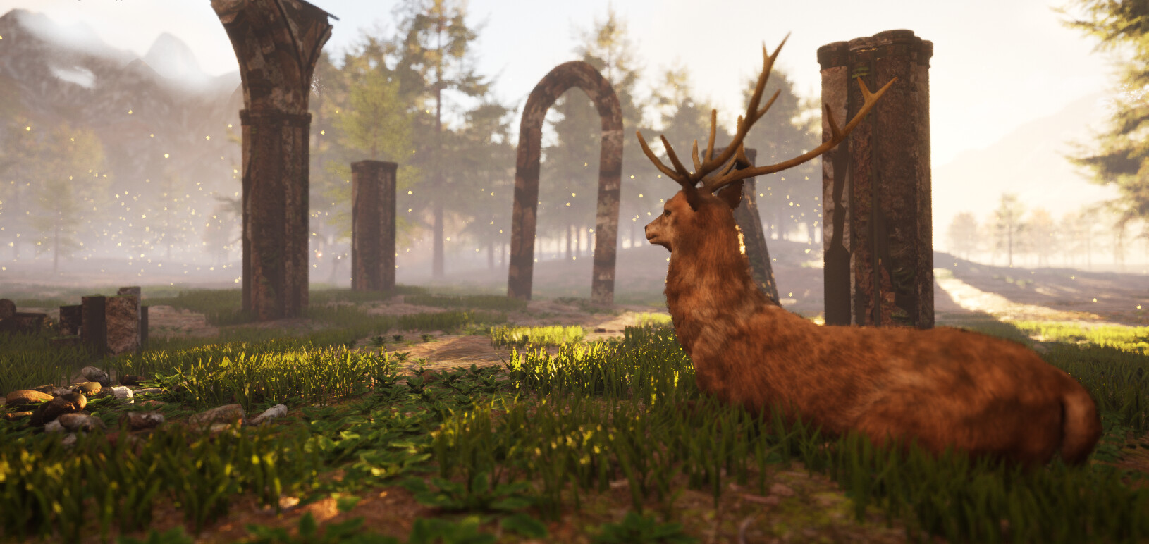 Bonk Battle Royale #6