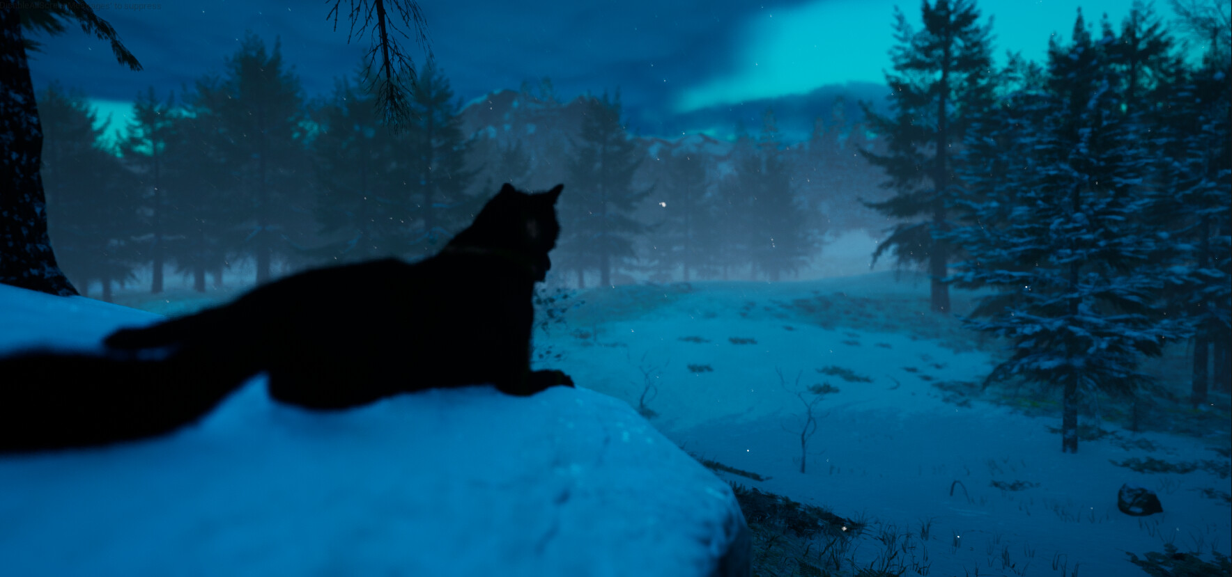 Bonk Battle Royale #8