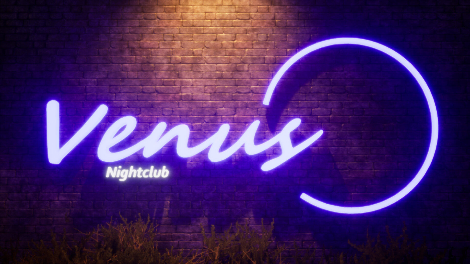 Venus Nightclub #0