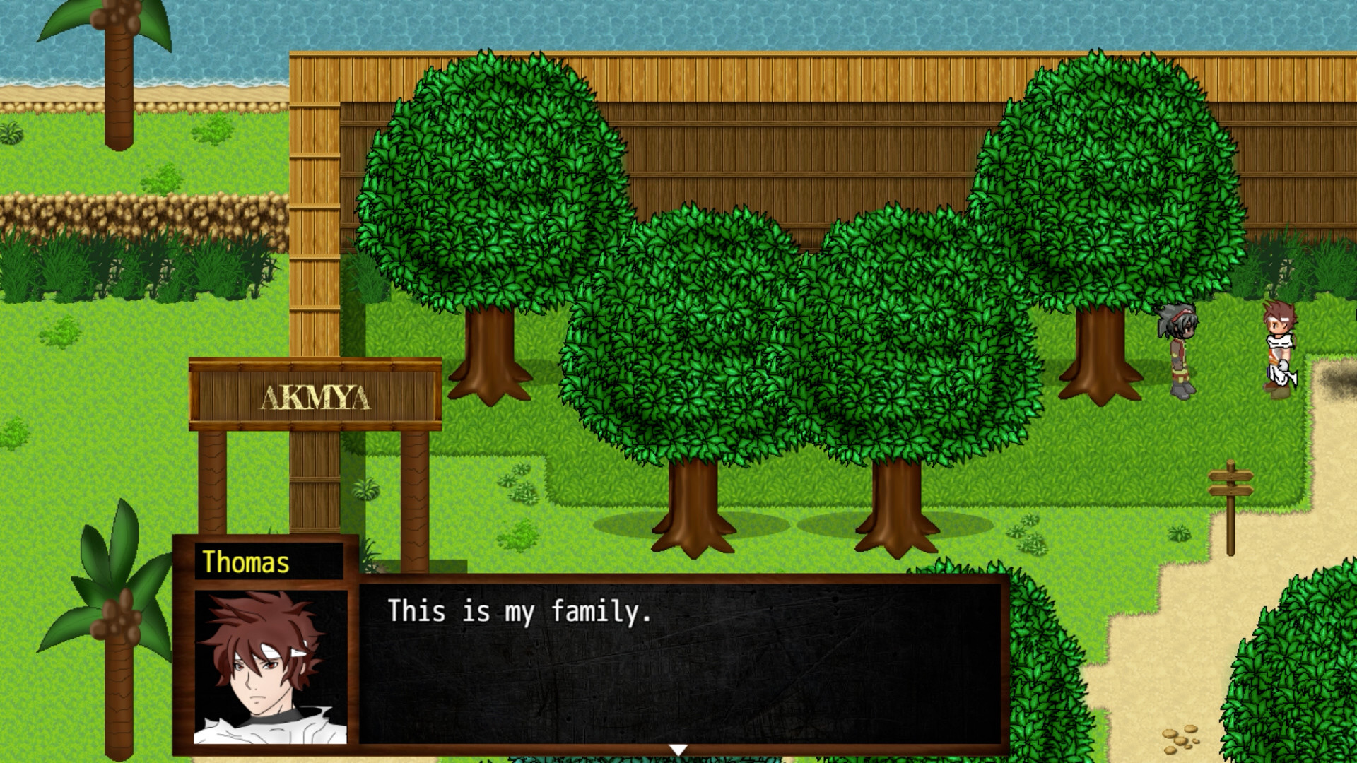 Order from Caos 2 #19