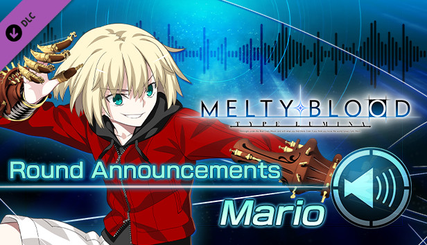 melty blood replay player