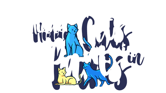 Hidden Cats in Paris