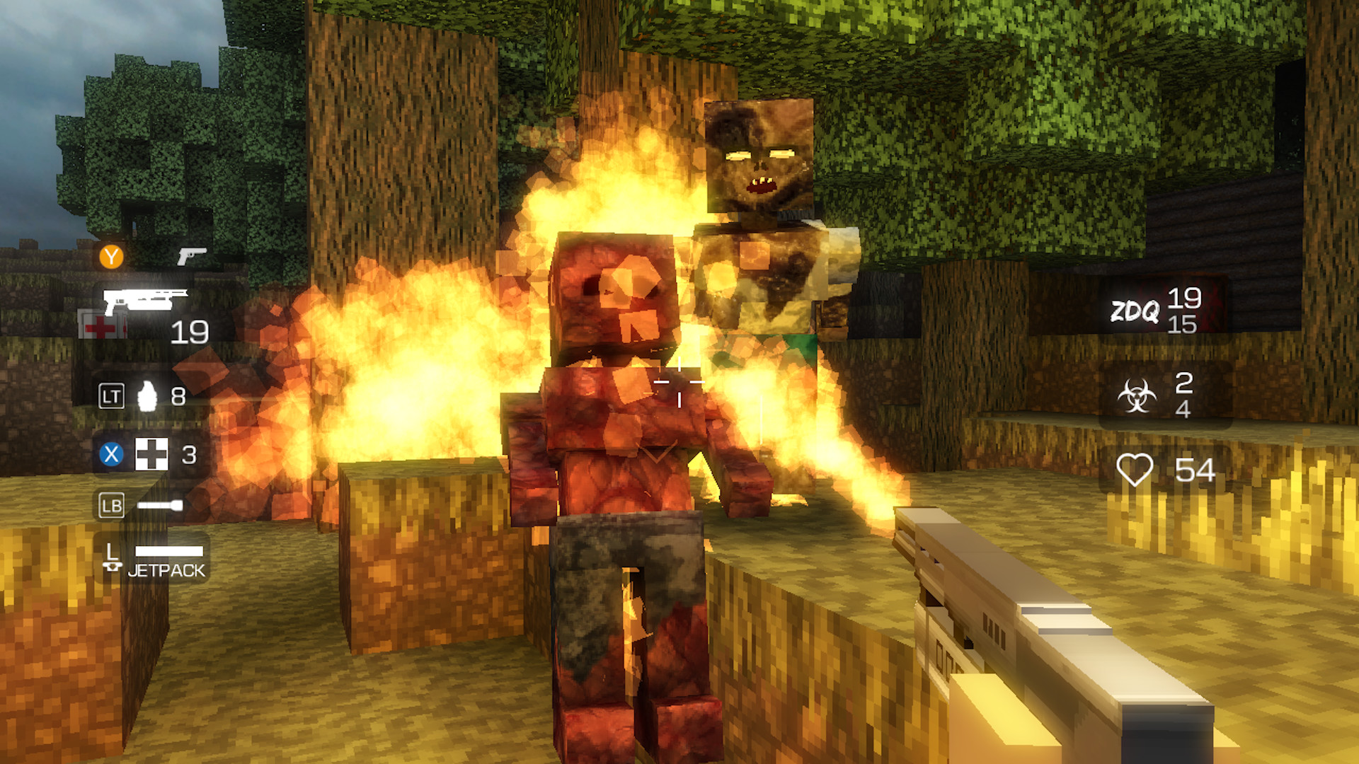 Zombie Death Quota #4